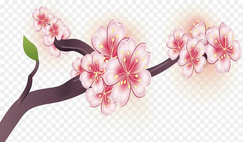 水彩樱花设计