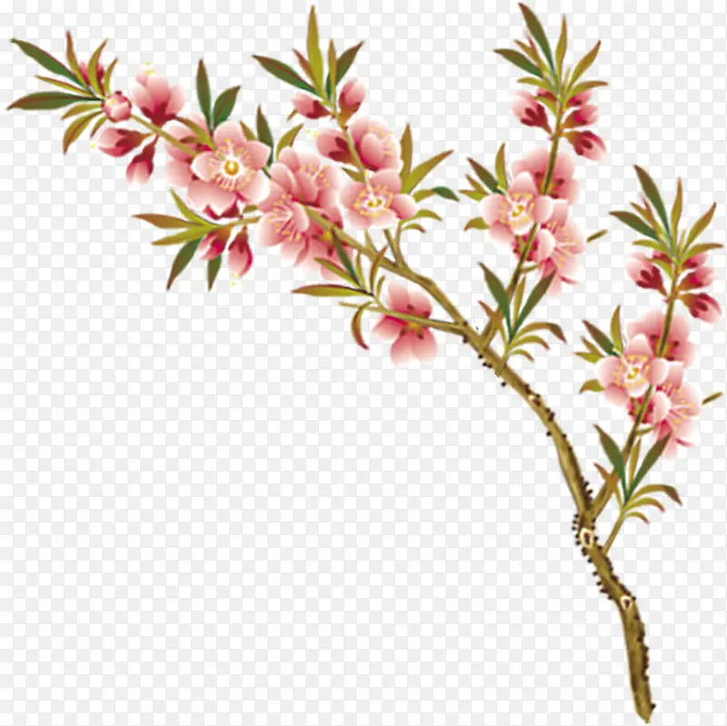 植物海报涂鸦花朵树枝