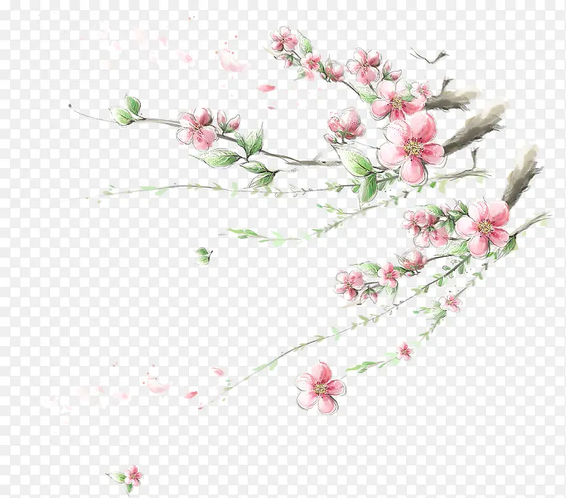 植物海报花朵树枝