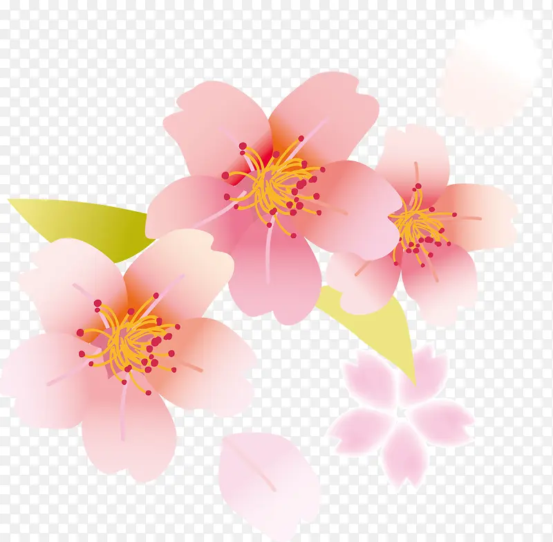 樱花花瓣元素