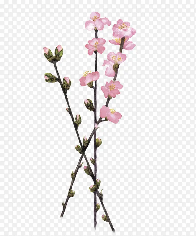 手绘花朵