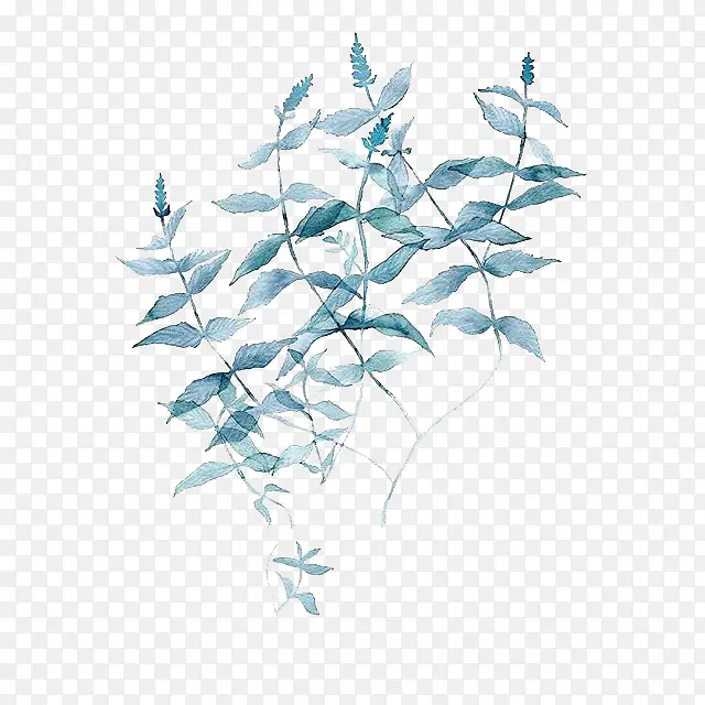 小清新植物素材