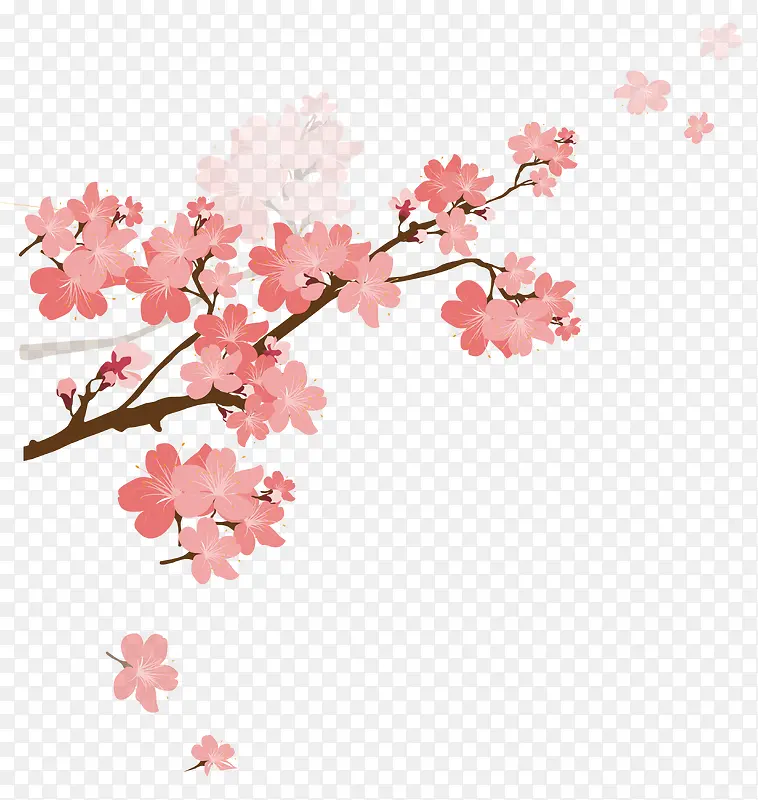 手绘樱花设计