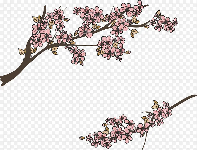 手绘春天粉色樱花