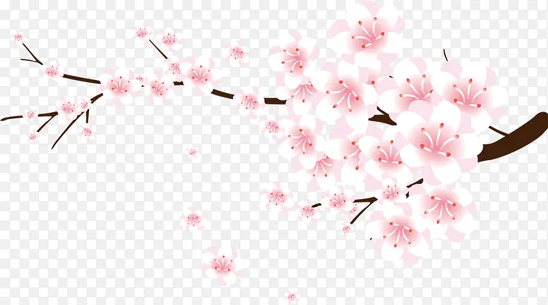 粉红花朵花枝樱花装饰