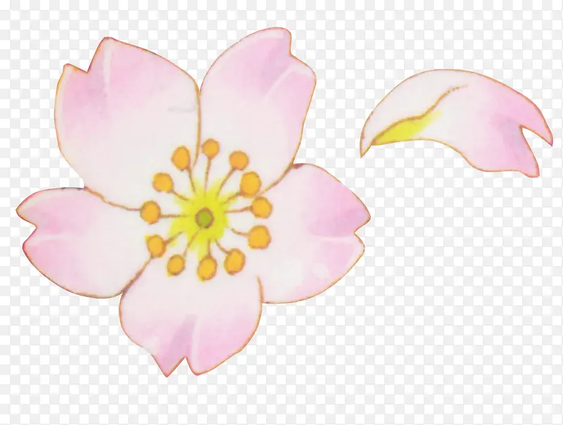 梦幻粉花与花瓣