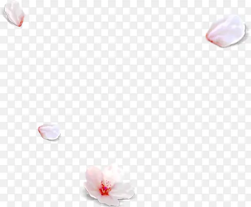 樱花花朵花瓣漂浮装饰
