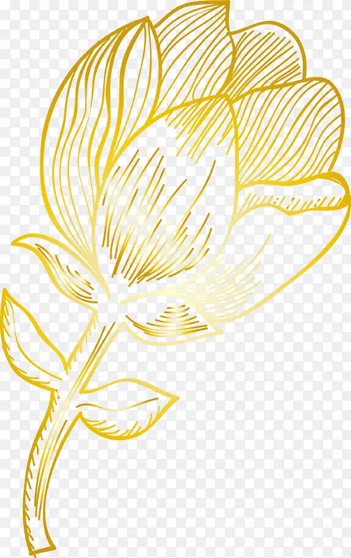 一朵金色的花朵图