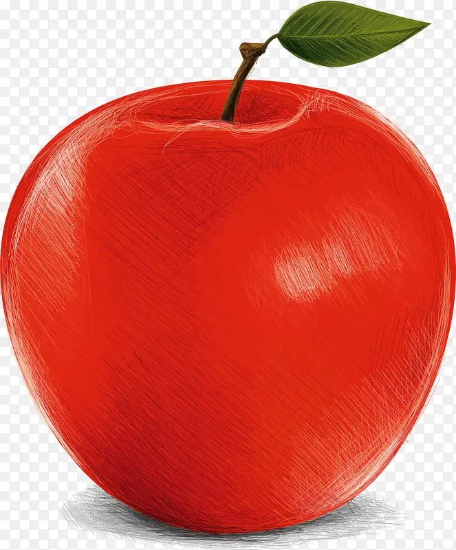 矢量红色苹果