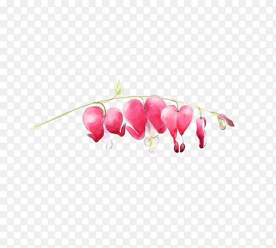 手绘花