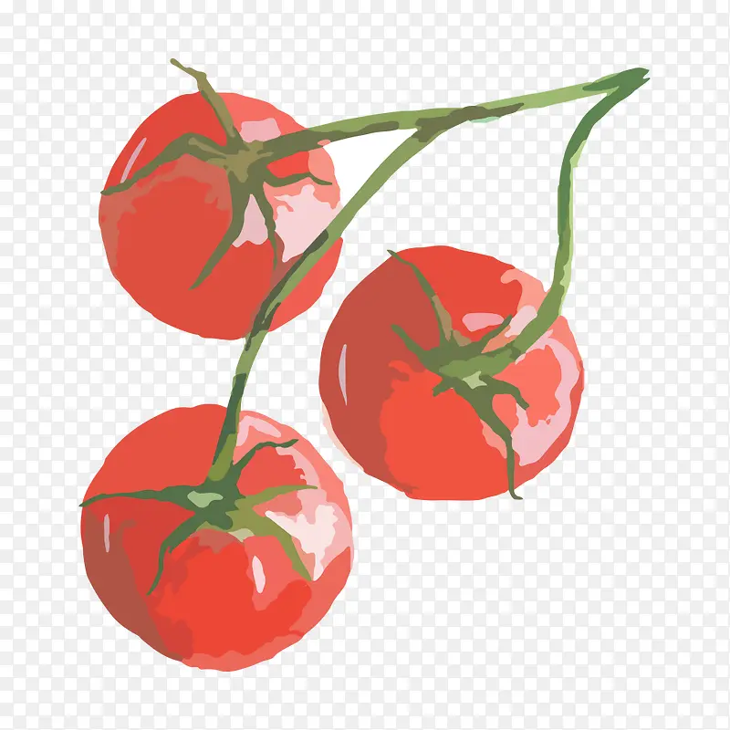 手绘西红柿