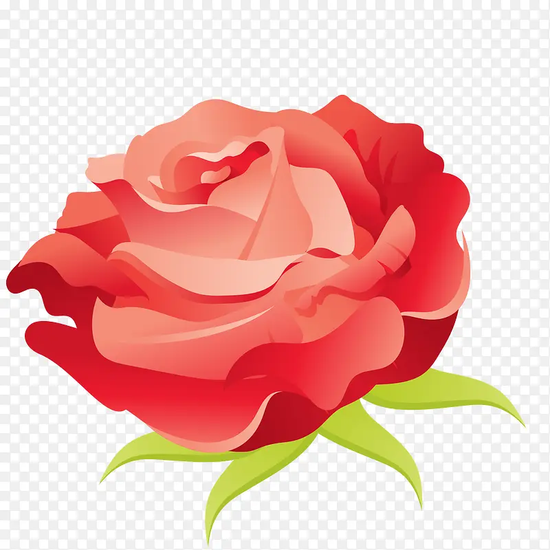 卡通红色的玫瑰花