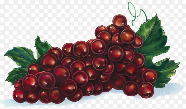 卡通红色水果葡萄