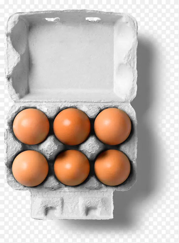 食物营养每日必需鸡蛋