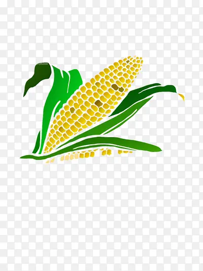 玉米矢量图