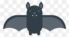 平面蝙蝠