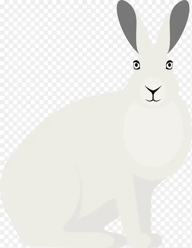 白色兔子矢量图