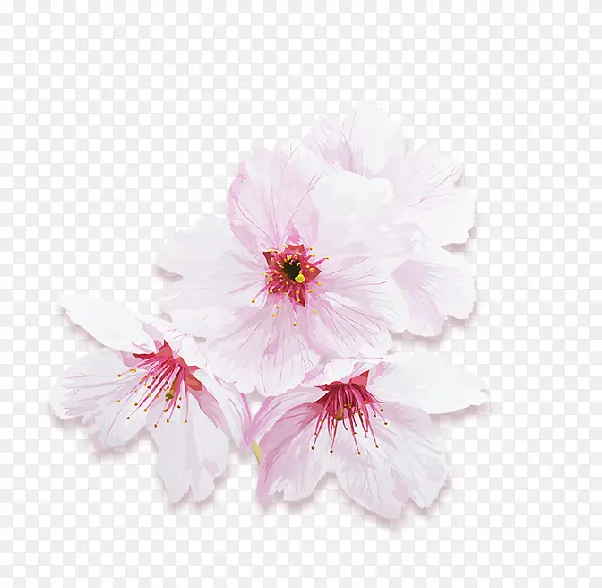粉色清新桃花花朵装饰图案