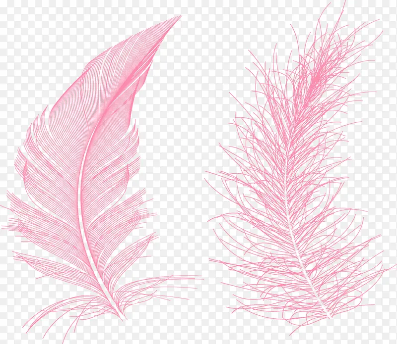 粉色清新羽毛装饰图案