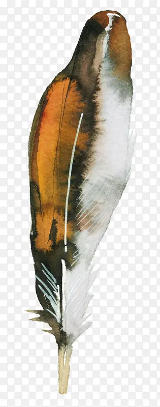 手绘水彩羽毛png