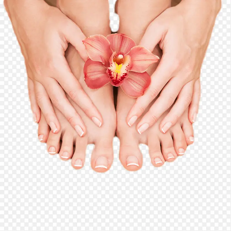 手脚和鲜花PNG