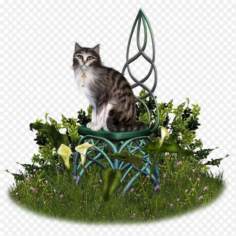 宠物猫绿色草丛