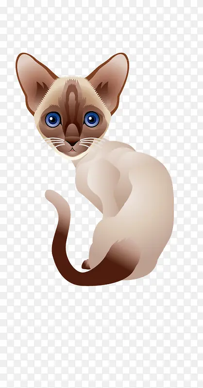 宠物小猫手绘素材