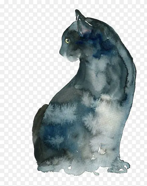 灰绿猫咪