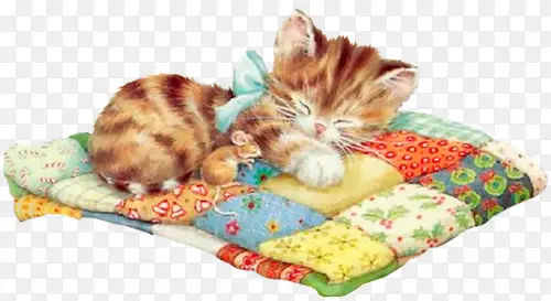 毯与猫
