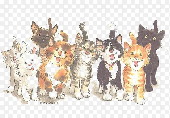 猫咪