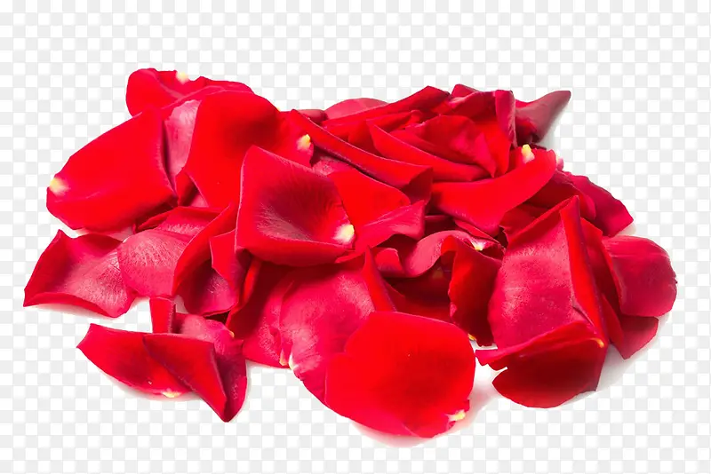 红色玫瑰花瓣