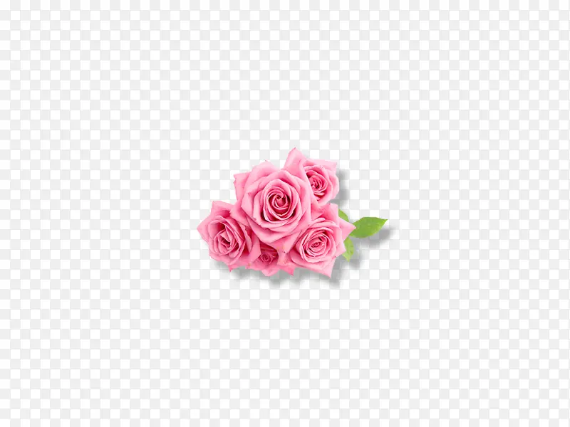 粉红玫瑰装饰素材