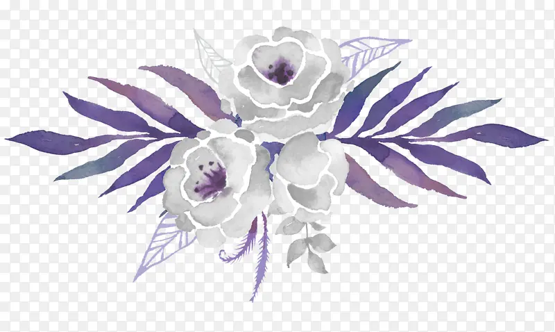 水彩紫色玫瑰
