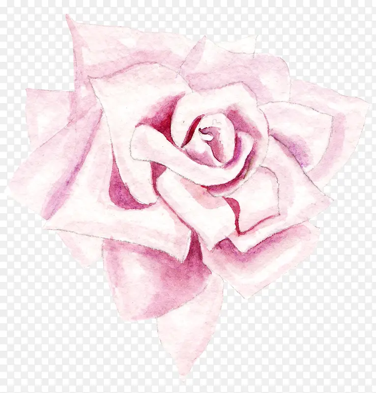 卡通手绘粉色的玫瑰花