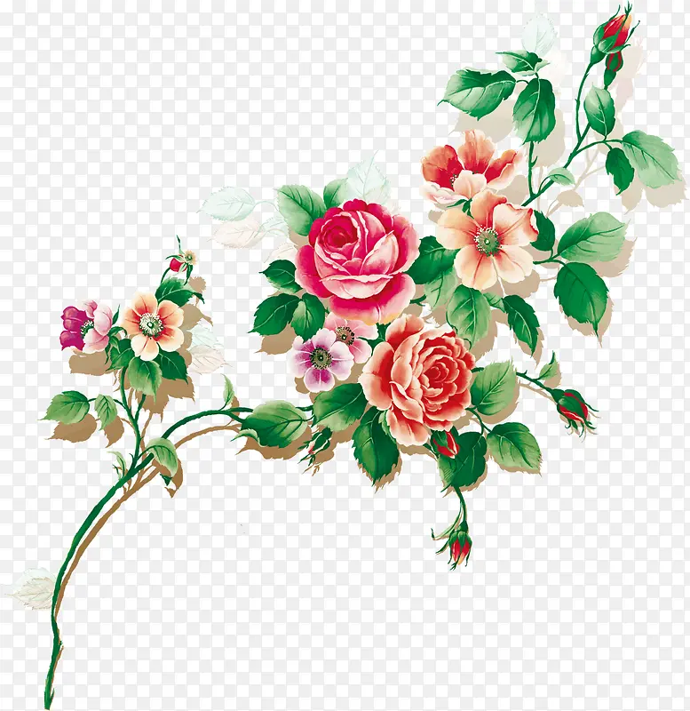 彩绘玫瑰花