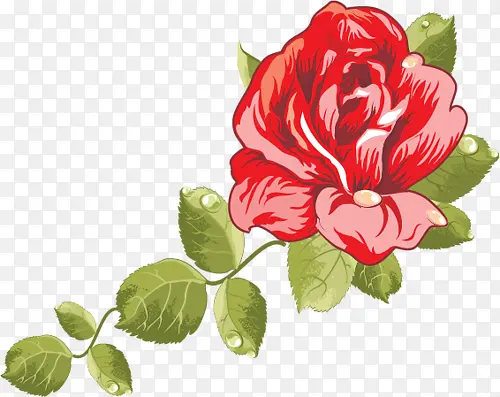 玫瑰花装饰图案