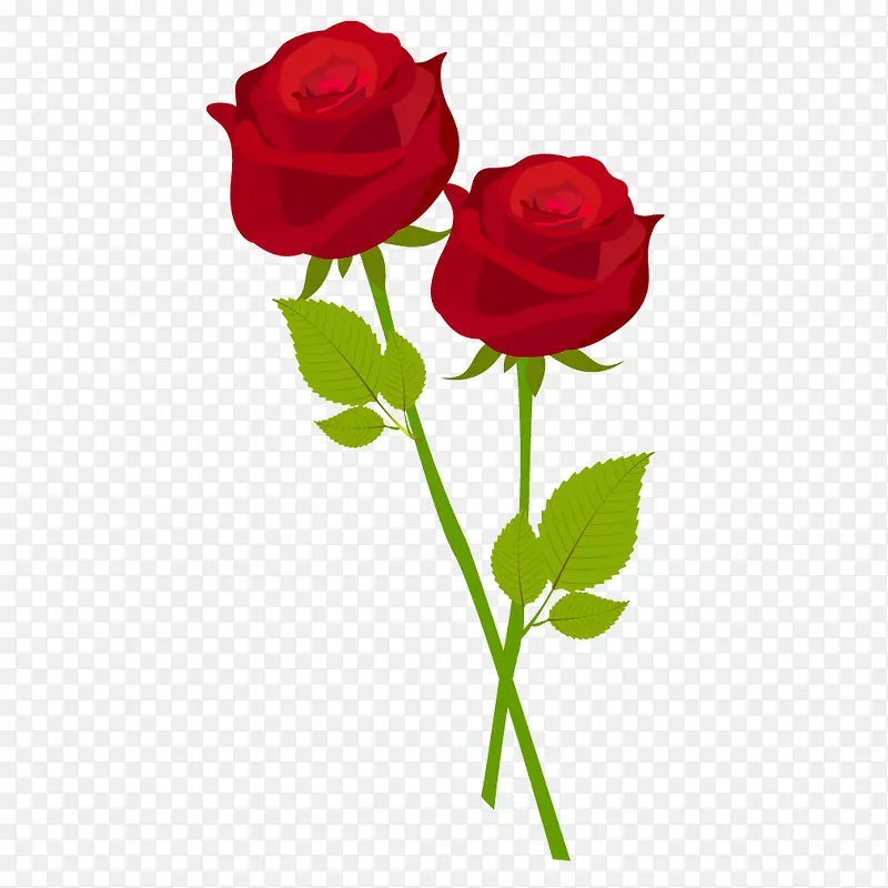 红色花朵玫瑰