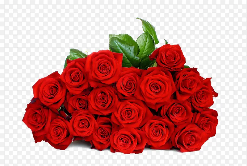 浪漫红色玫瑰