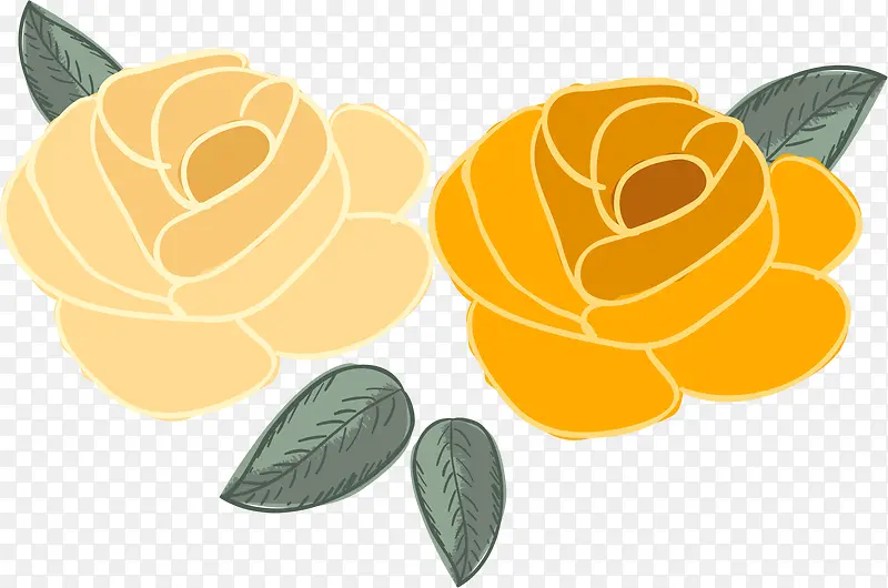 2朵黄玫瑰图