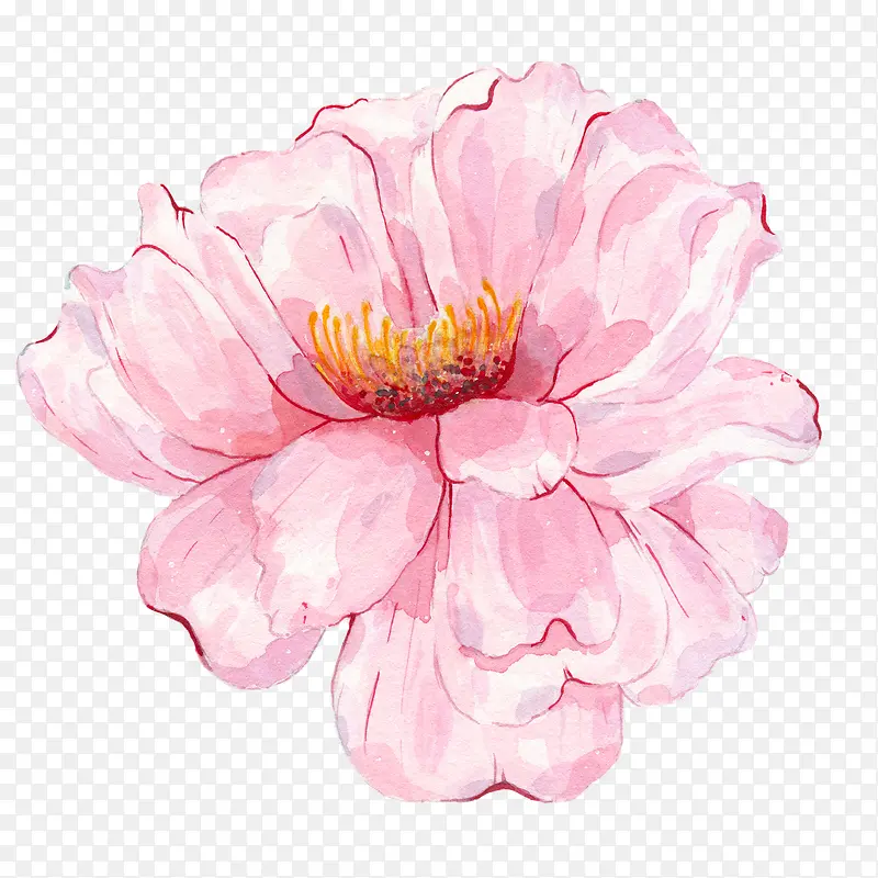 粉色手绘水墨花朵