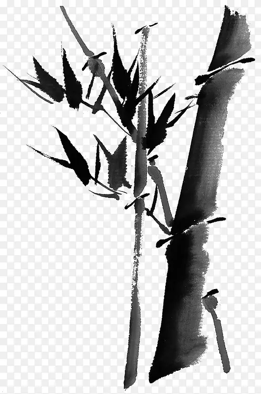 手绘水墨画植物竹子