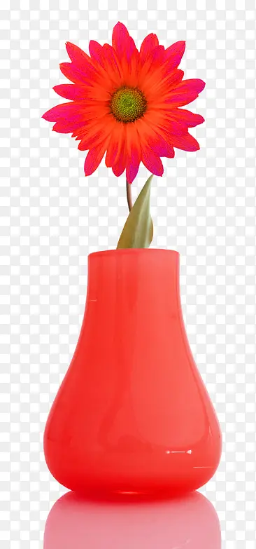 红色太阳花花瓶