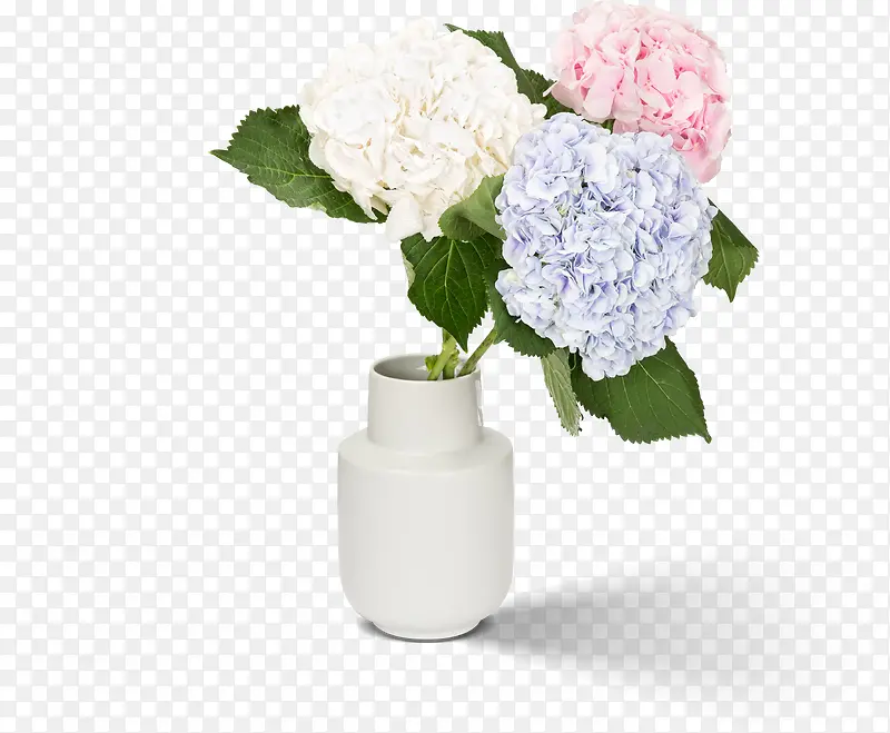 花瓶与花束r
