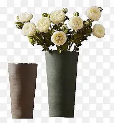花瓶卡通植物花朵效果