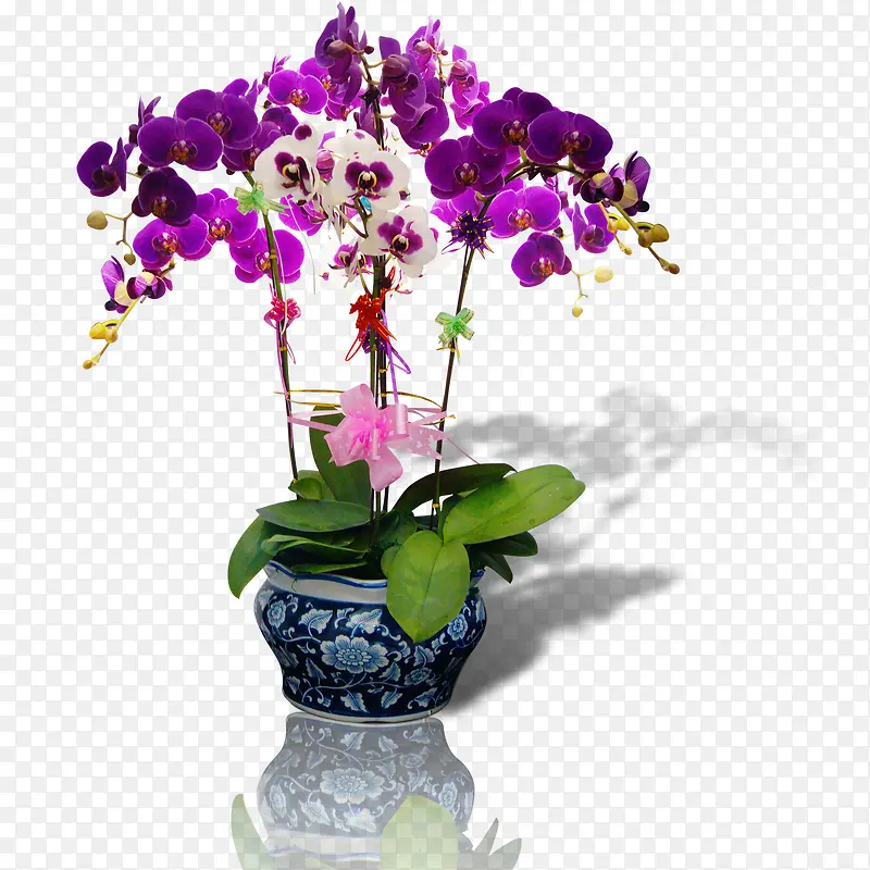 紫花花瓶
