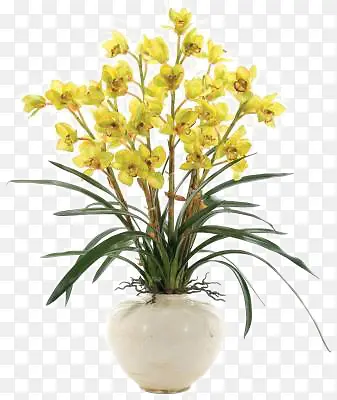 黄色鲜花白色花瓶插花