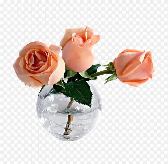 花瓶里的粉玫瑰海报背景