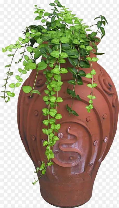 古风花瓶绿色藤叶