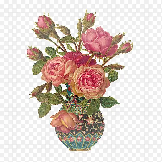 粉色月季花花瓶手绘