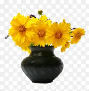 花朵花瓶黄色花朵装饰